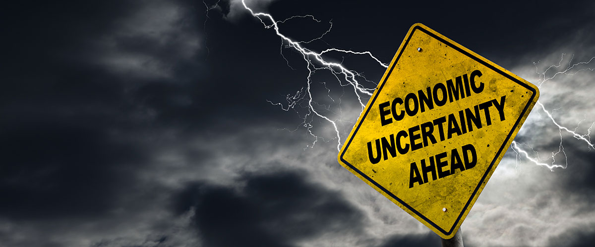 Investing Under Economic Uncertainty